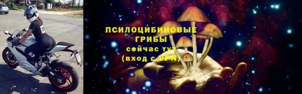 2c-b Богданович