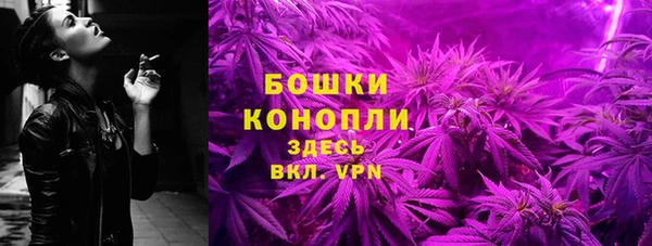 2c-b Богданович