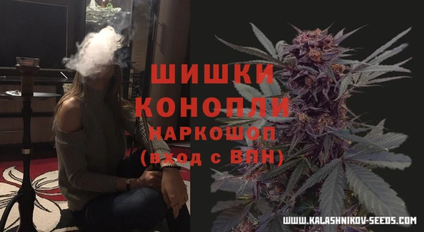 2c-b Богданович